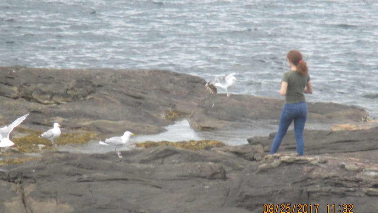 Photo of Others in Pemaquid Point