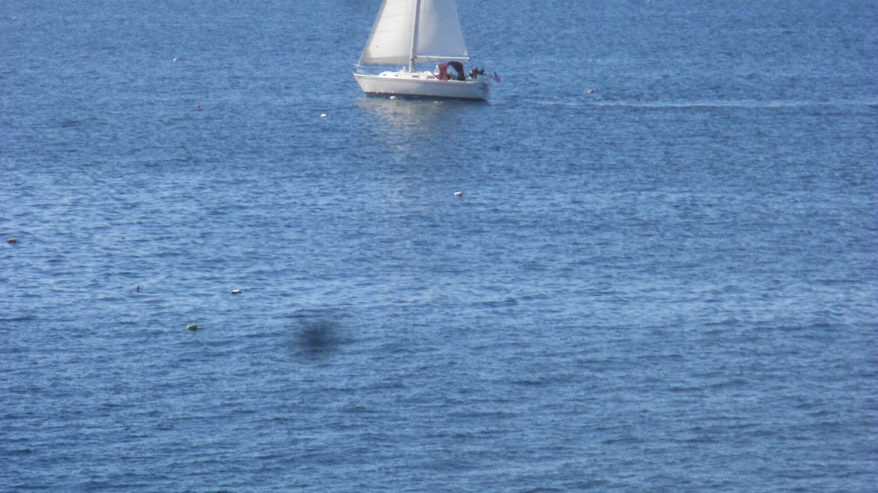 Photo of Others in Pemaquid Point