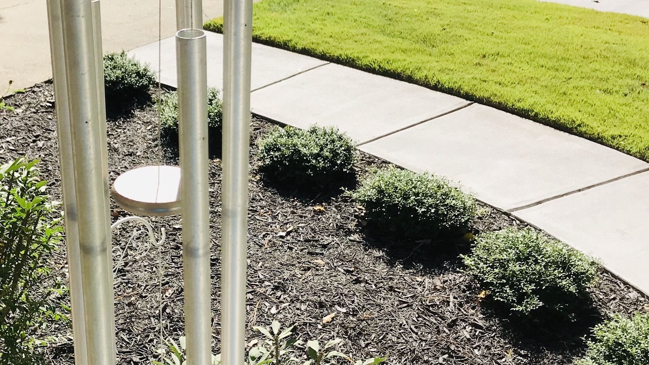 Photo of Outdoor in Canton