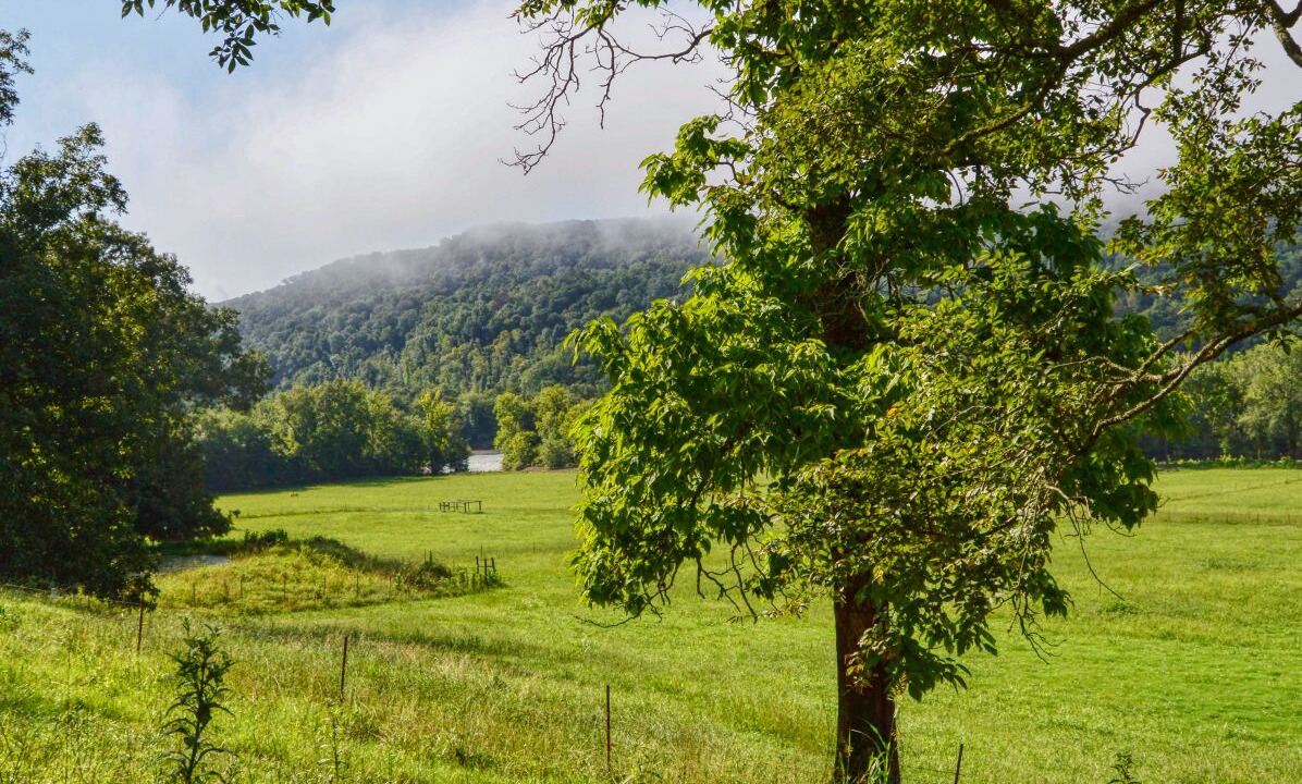 Photo of Outdoor in Alix
