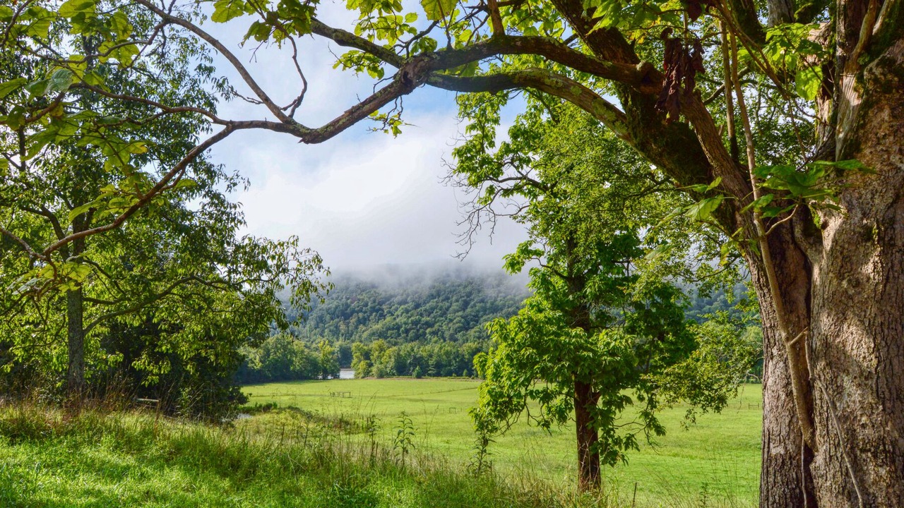 Photo of Outdoor in Alix