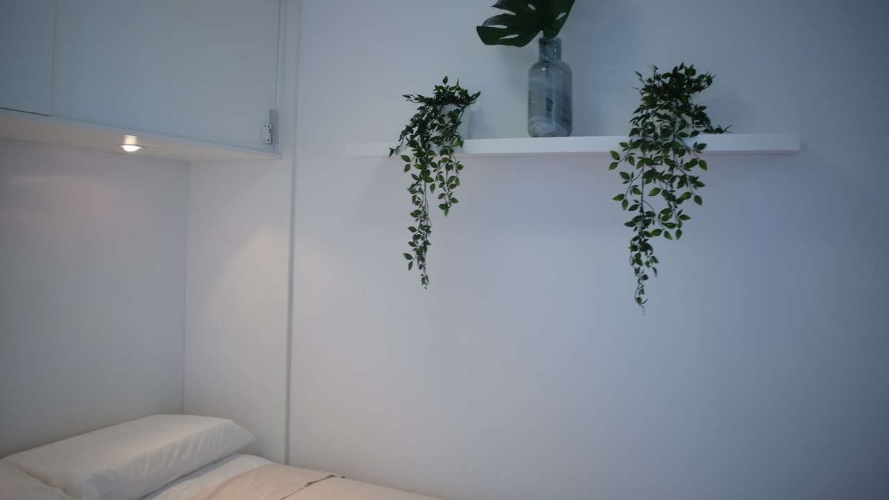 Photo of Bedroom in Elizabeth Bay