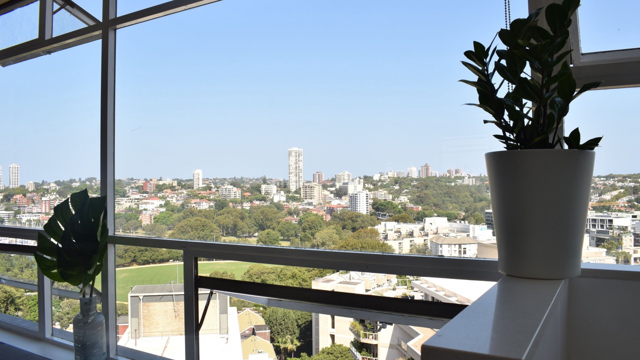 Photo of Others in Elizabeth Bay