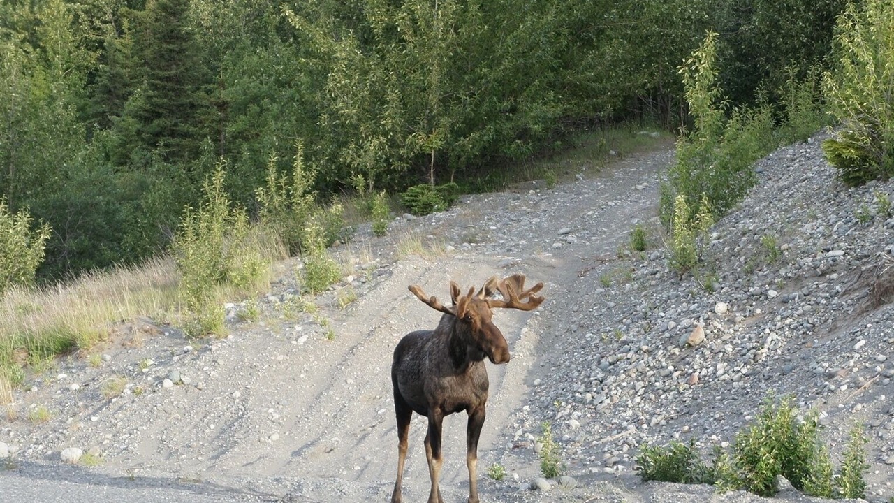 Photo of Others in Lazy Mountain