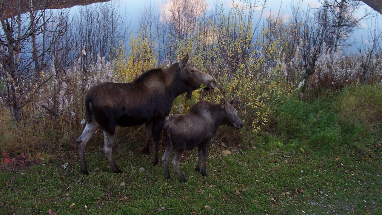 Photo of Others in Lazy Mountain