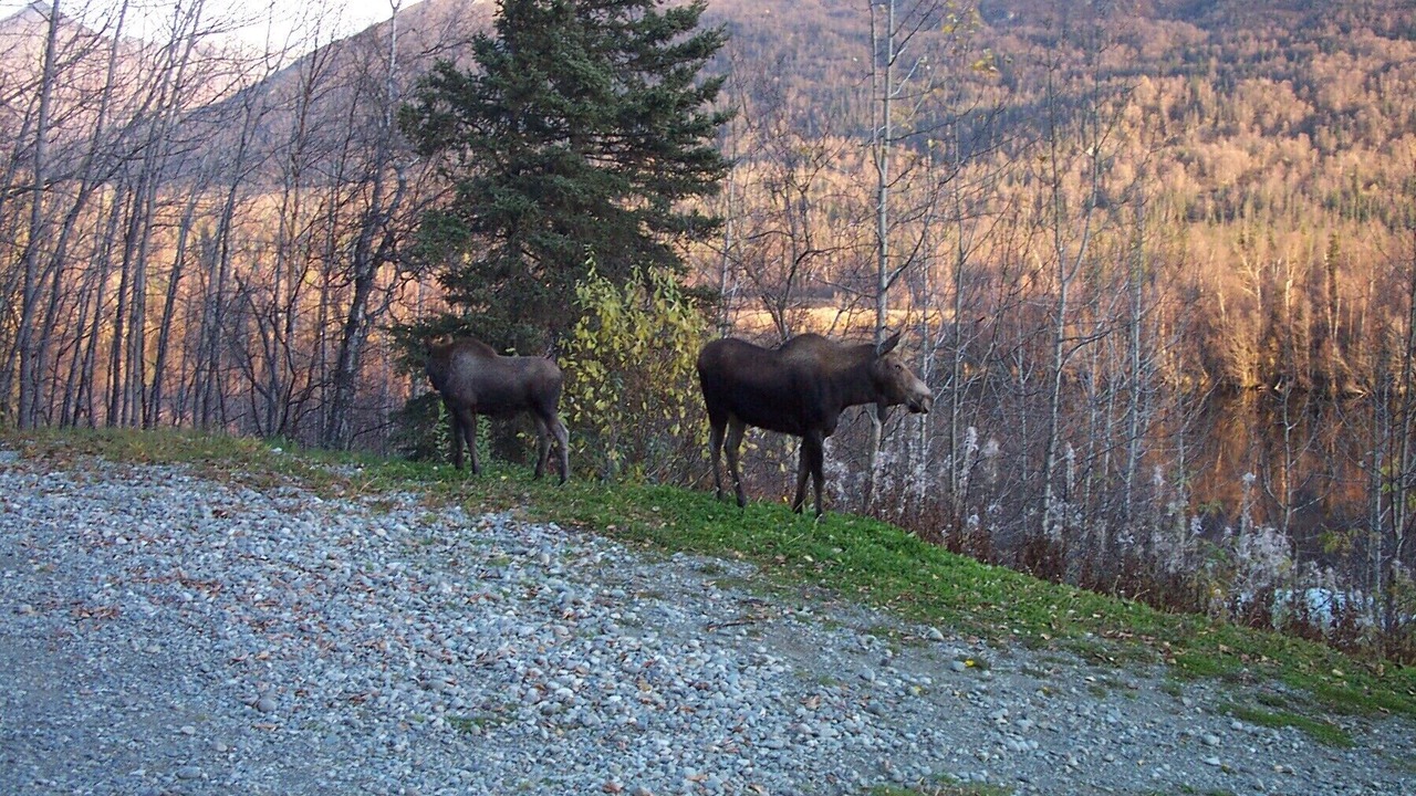 Photo of Others in Lazy Mountain
