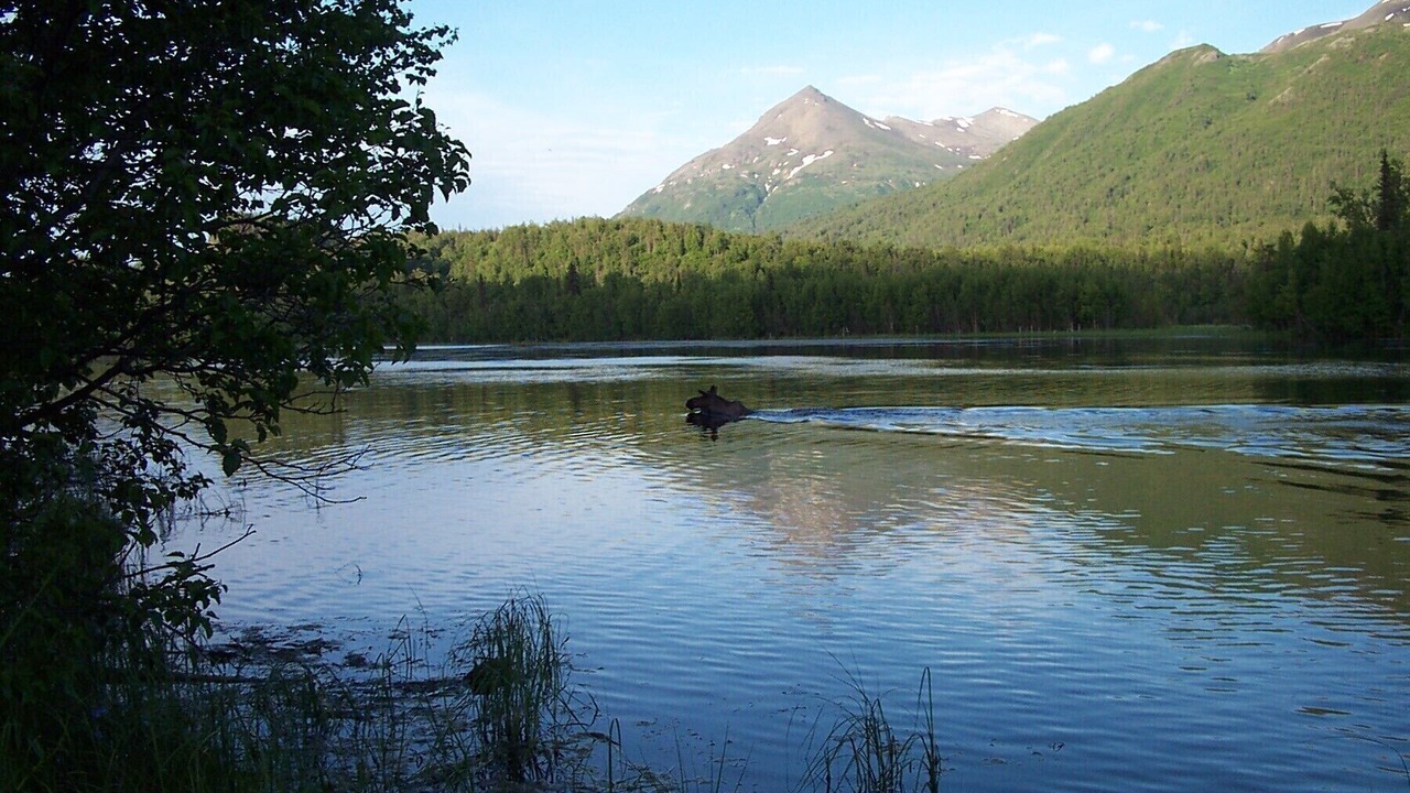 Photo of Outdoor in Lazy Mountain