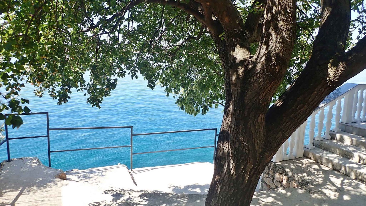 Photo of Outdoor in Baric Draga