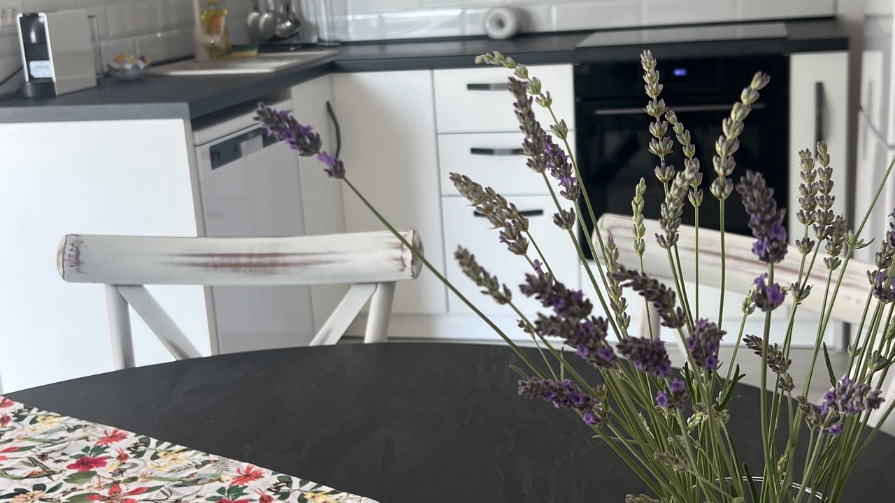 Photo of Kitchen in Cesarica