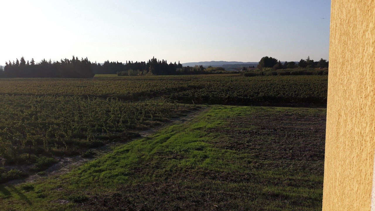 Photo of Outdoor in Pujaut
