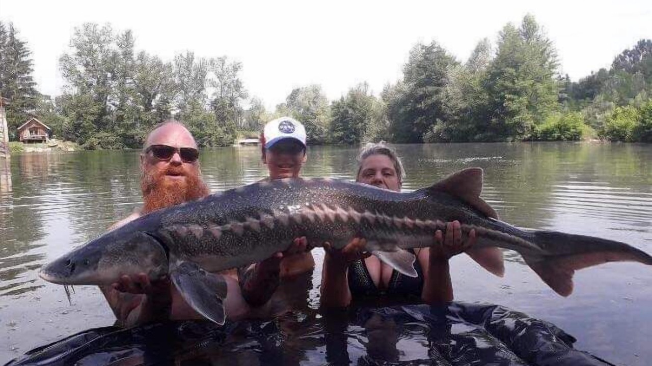 Photo of Others in Bregnier-Cordon