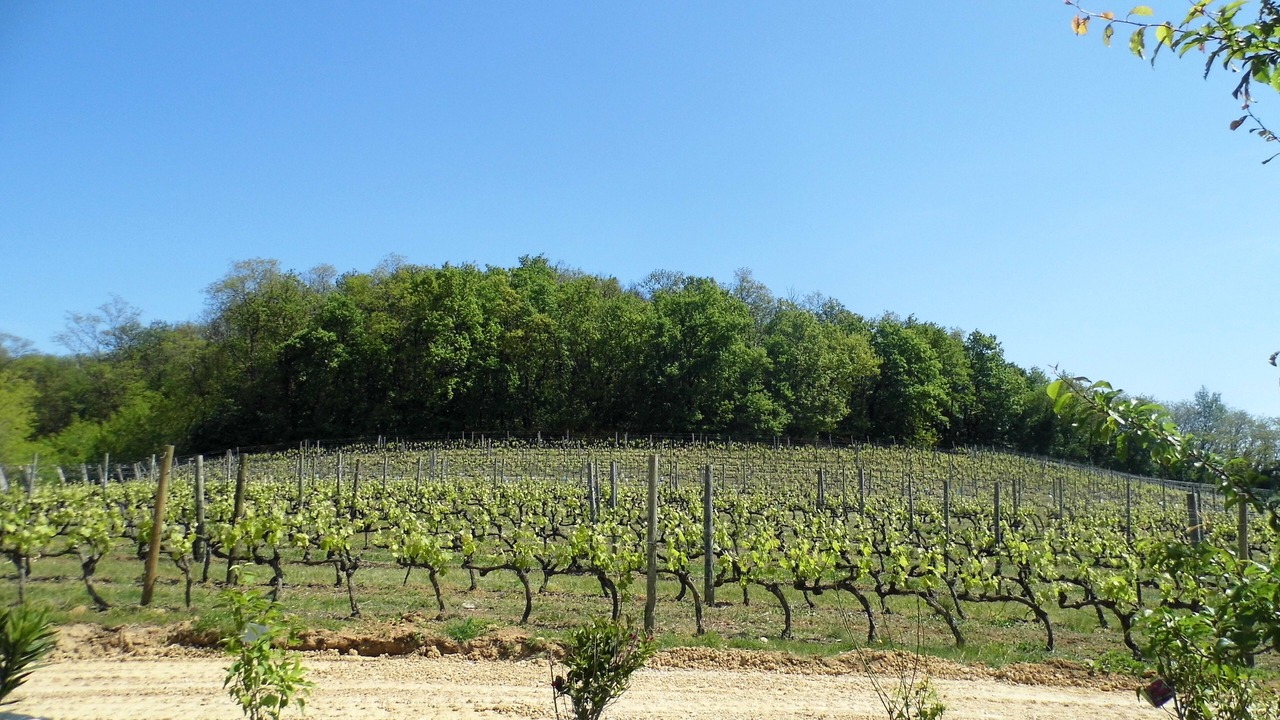 Photo of Outdoor in Mercurol