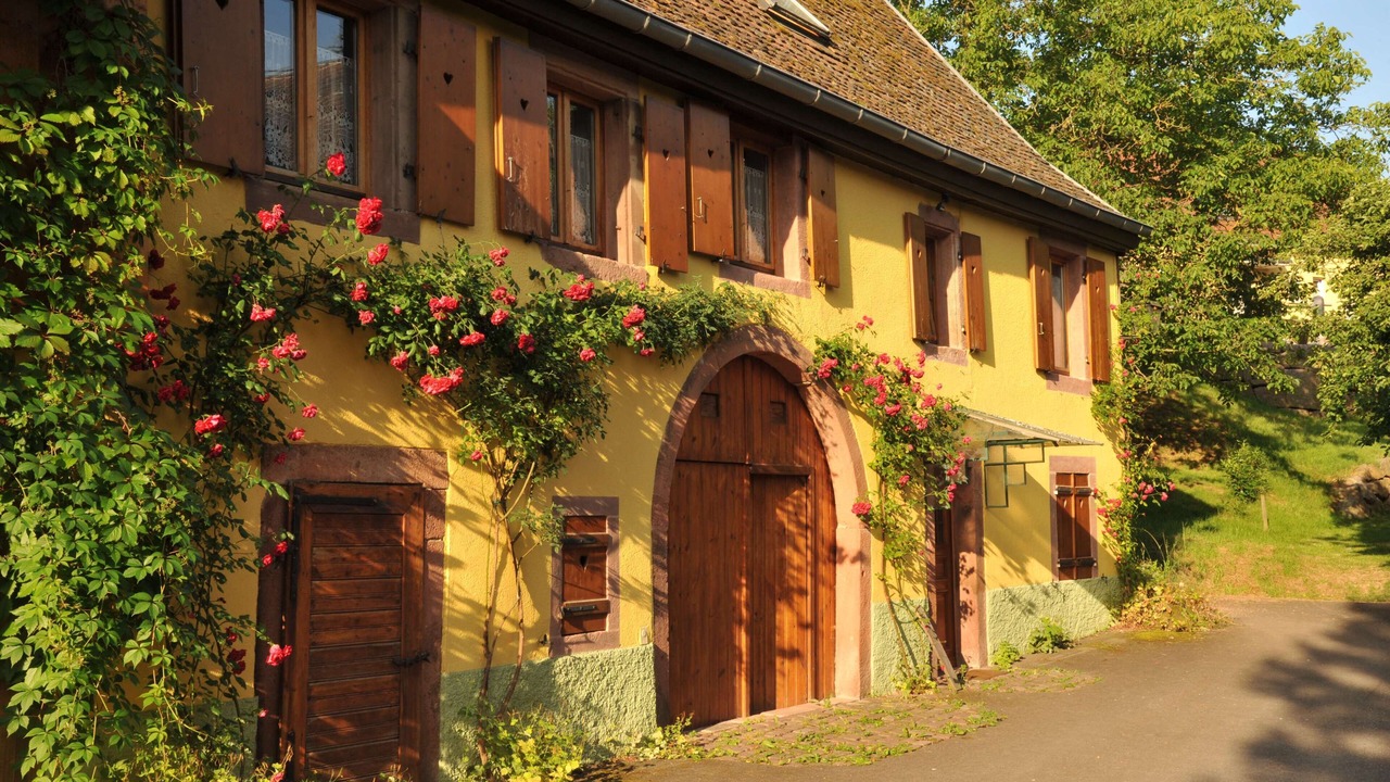 Photo of Outdoor in Thanville