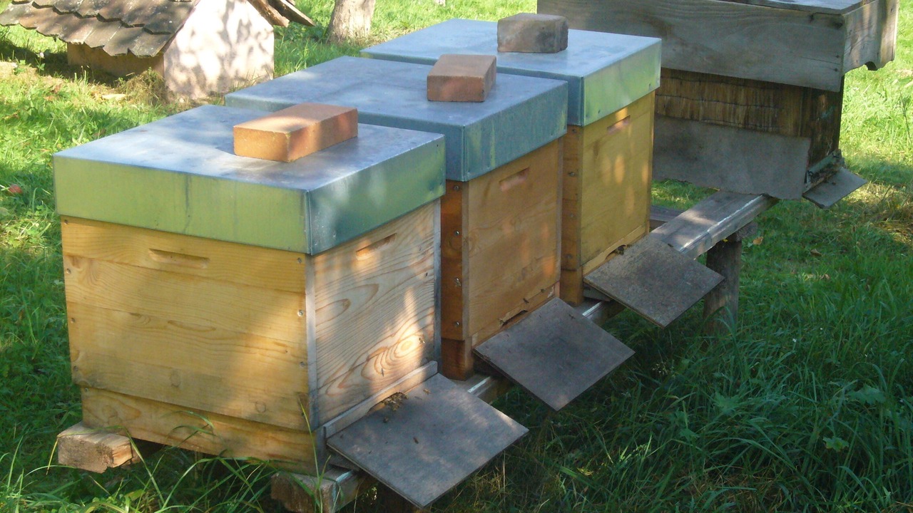 Photo of Outdoor in Thanville