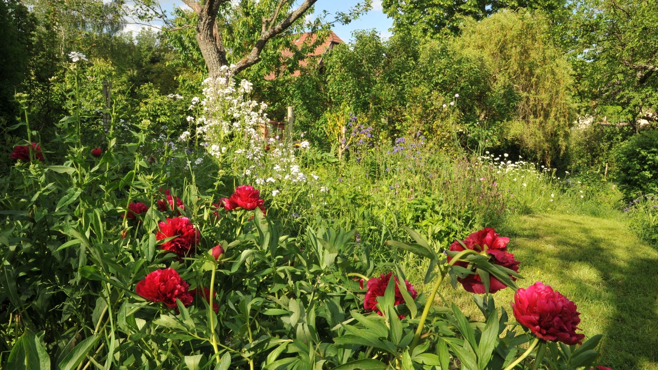 Photo of Outdoor in Thanville