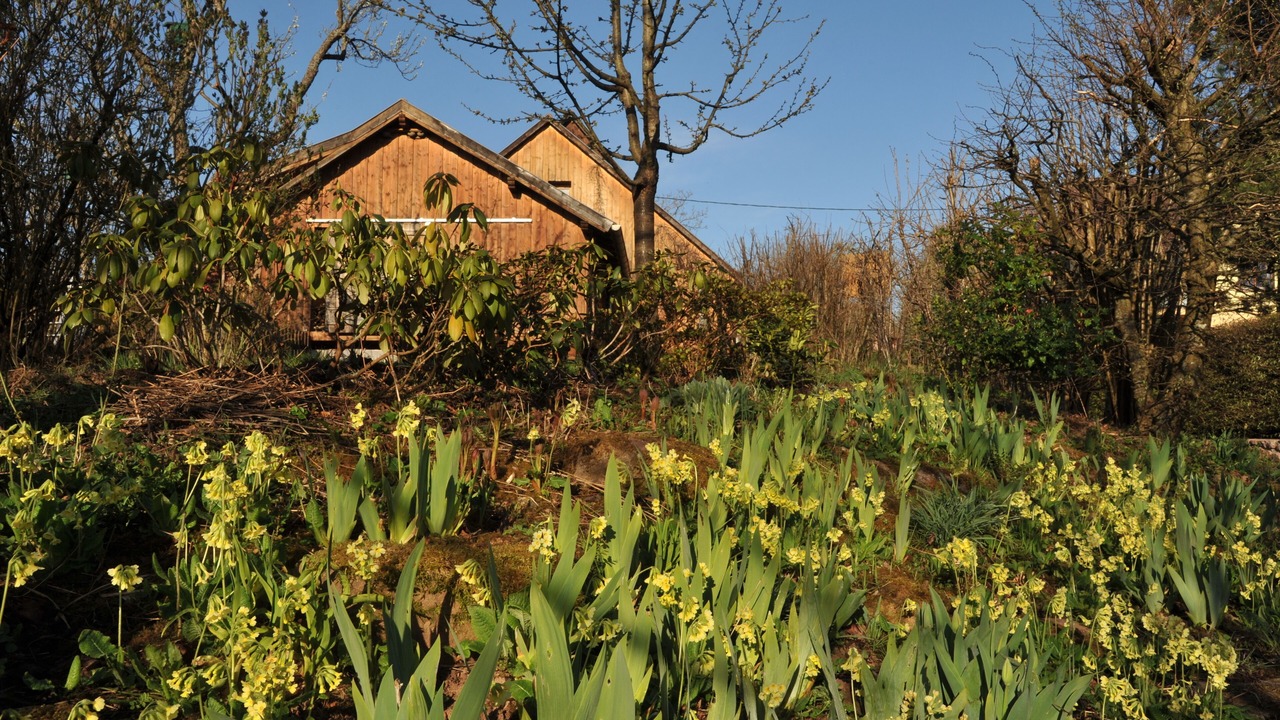 Photo of Outdoor in Thanville