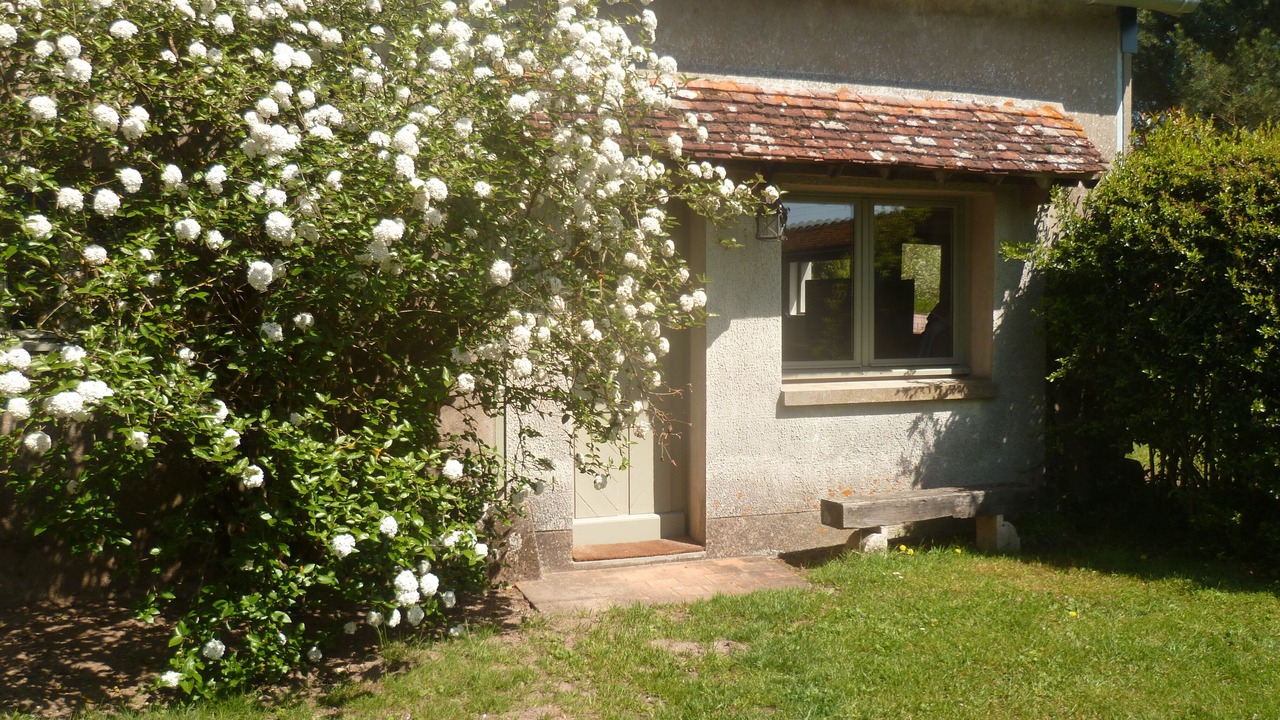 Photo of Outdoor in Lorris