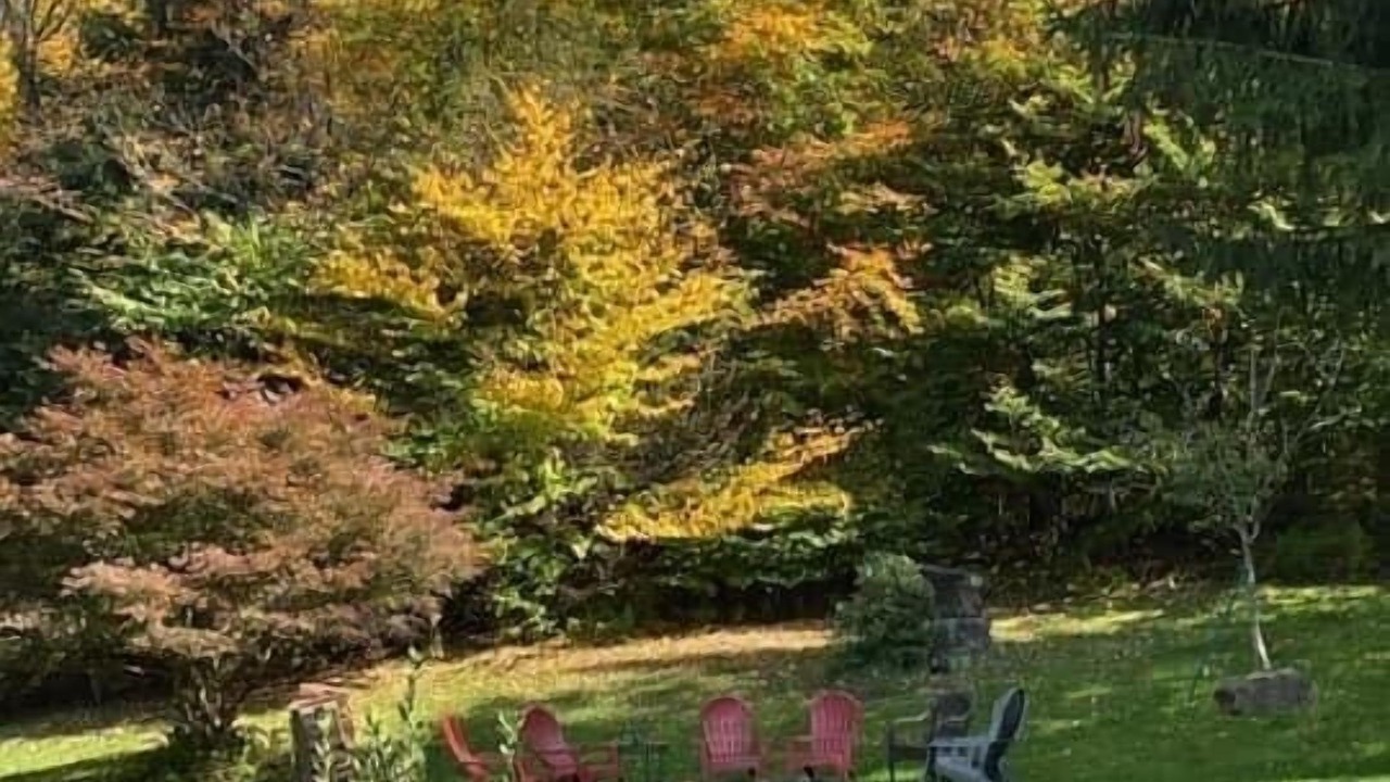 Photo of Others in Roscoe