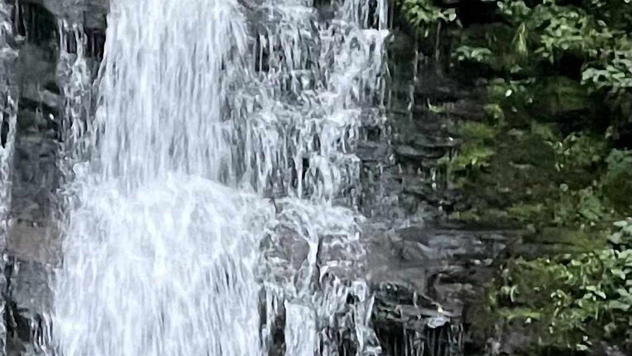 Photo of Others in Roscoe