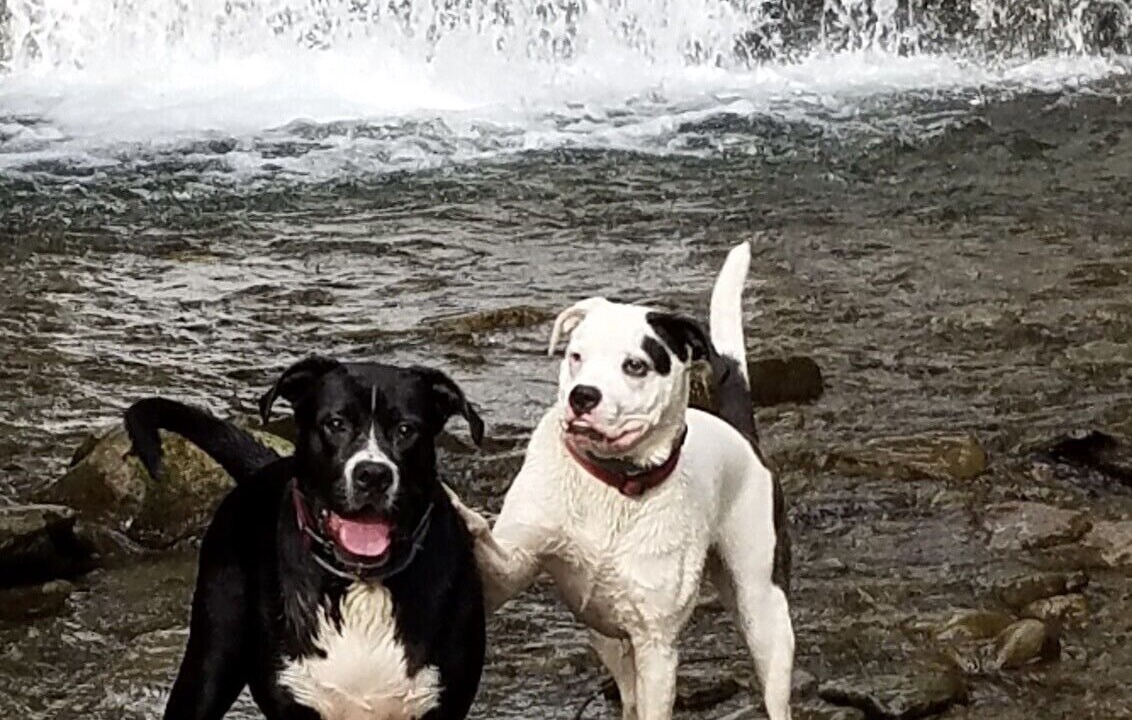 Photo of Others in Roscoe