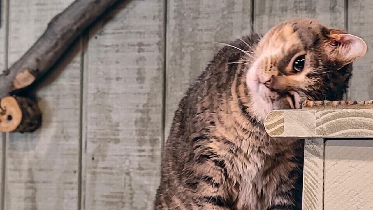 Photo of Others in Roscoe