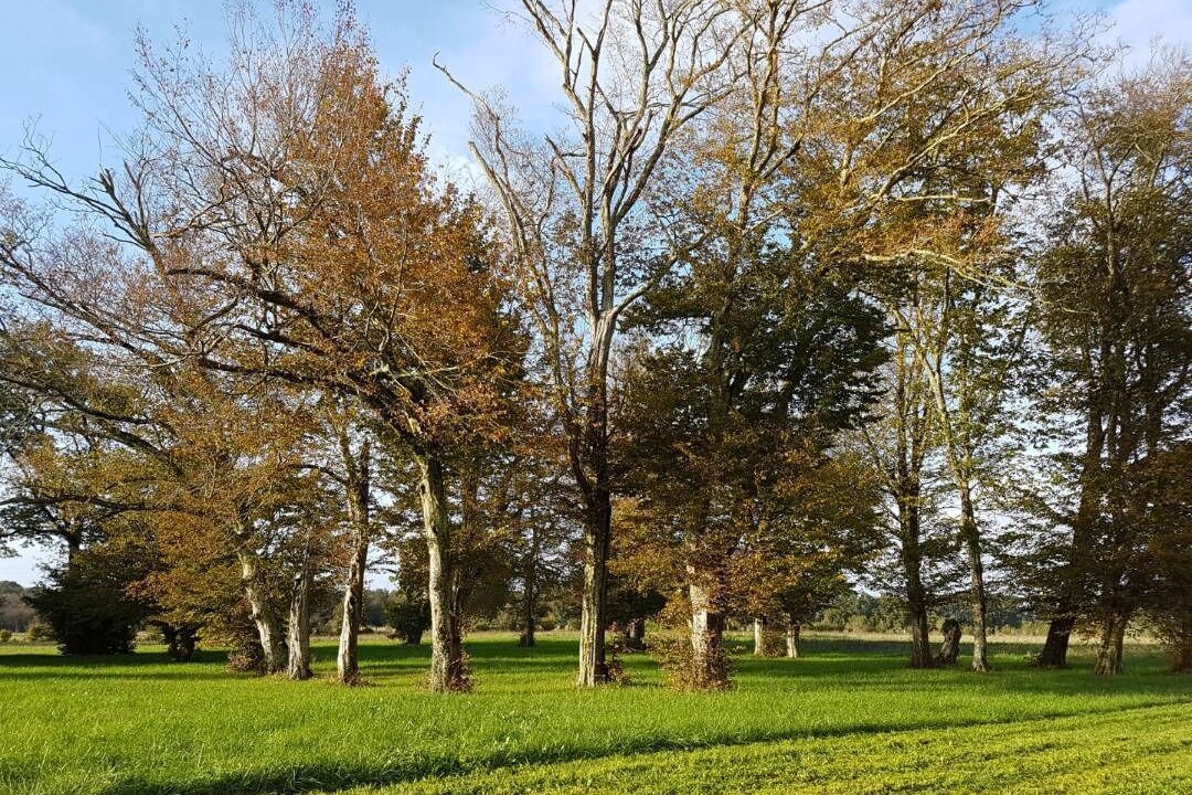 Photo of Outdoor in Saint Germain du Seudre