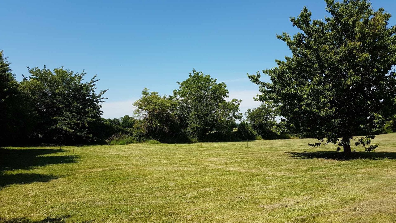 Photo of Others in Saint Germain du Seudre