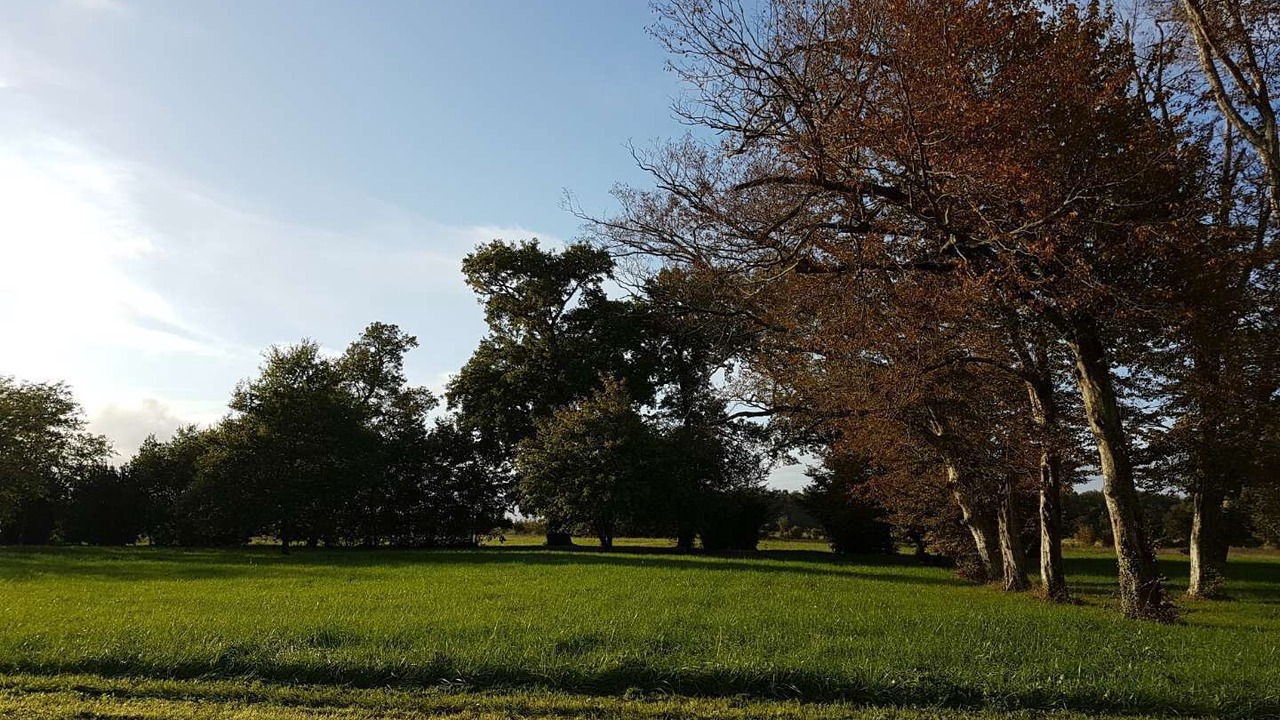 Photo of Others in Saint Germain du Seudre