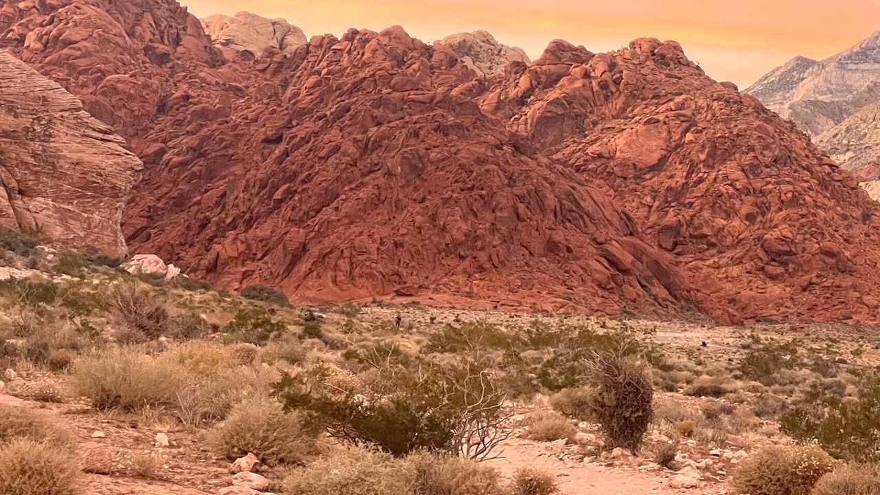 Photo of Others in Rhodes Ranch