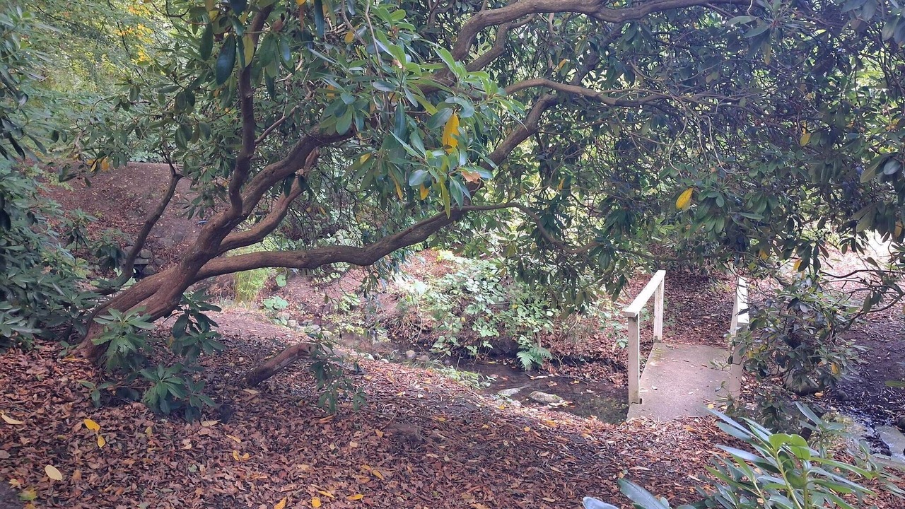 Photo of Outdoor in Sæby