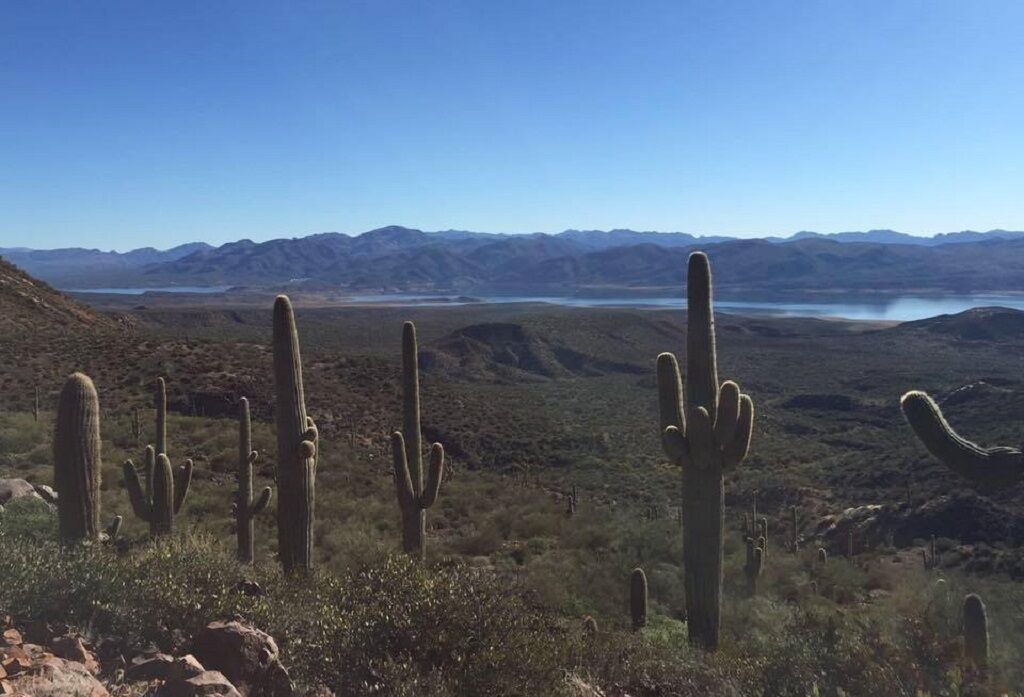 Photo of Outdoor in Tonto Basin