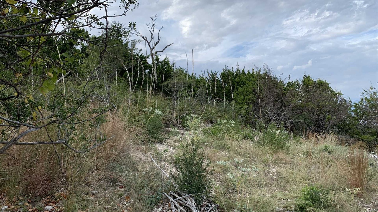 Photo of Others in Kerrville
