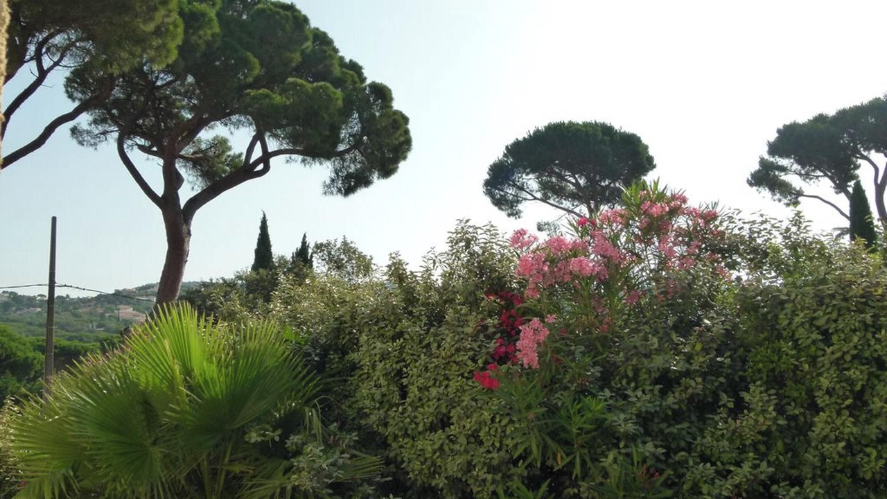Photo of Outdoor in Plage de la Garonnette