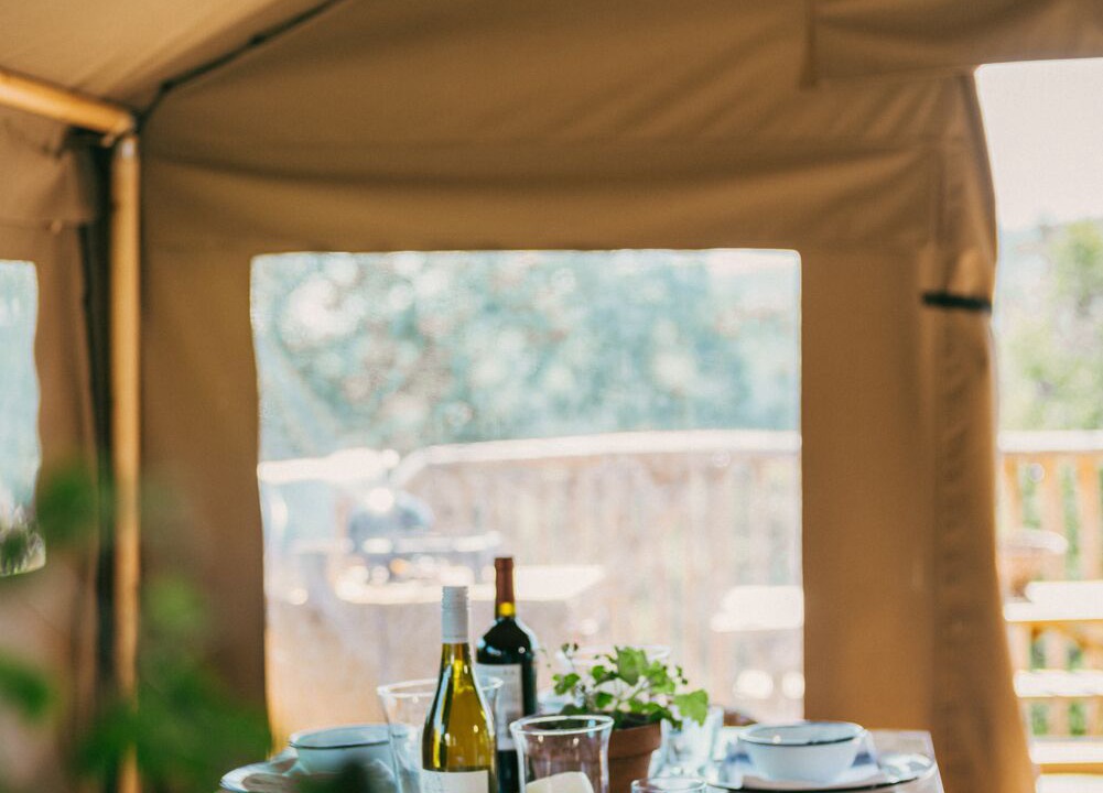 Photo of Others in Tiverton