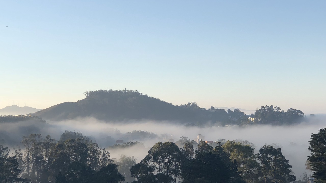 Photo of Bedroom in Forest Knolls