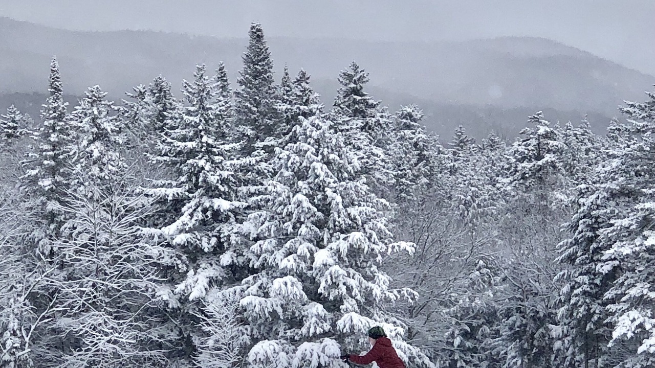Photo of Others in Middlebury