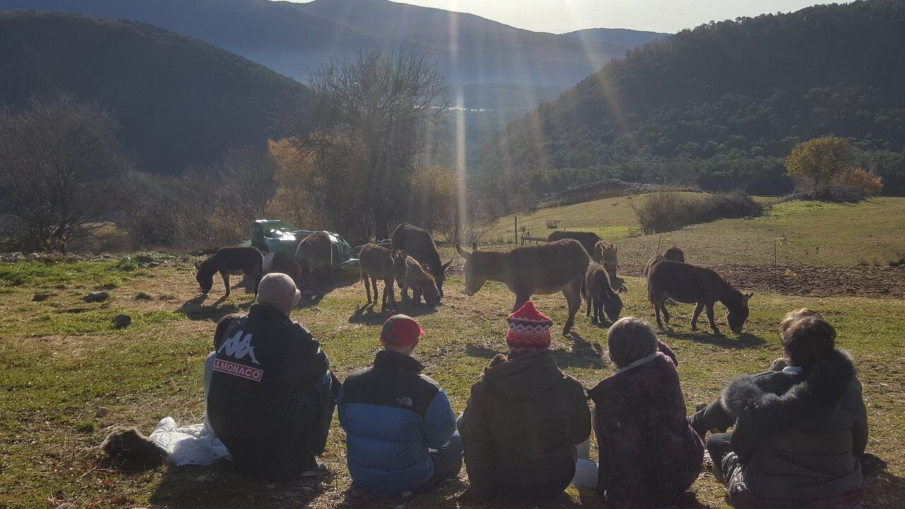 Photo of Others in Bargeme