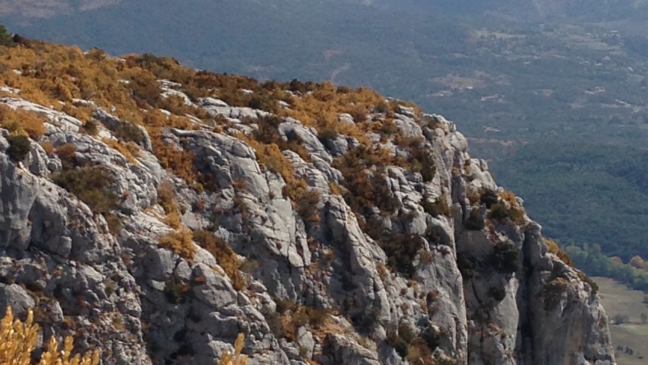 Photo of Others in Bargeme