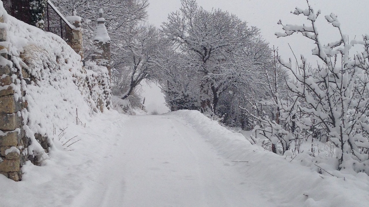 Photo of Others in Bargeme