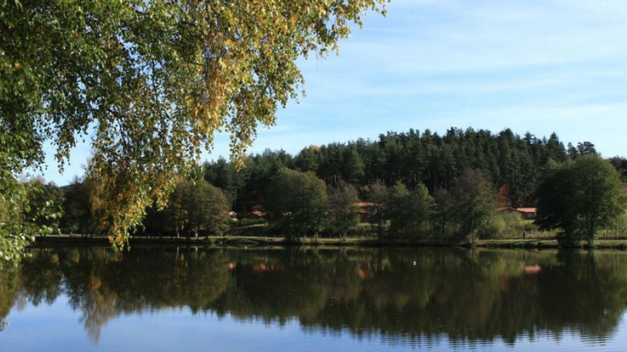 Photo of Outdoor in Usson-en-Forez