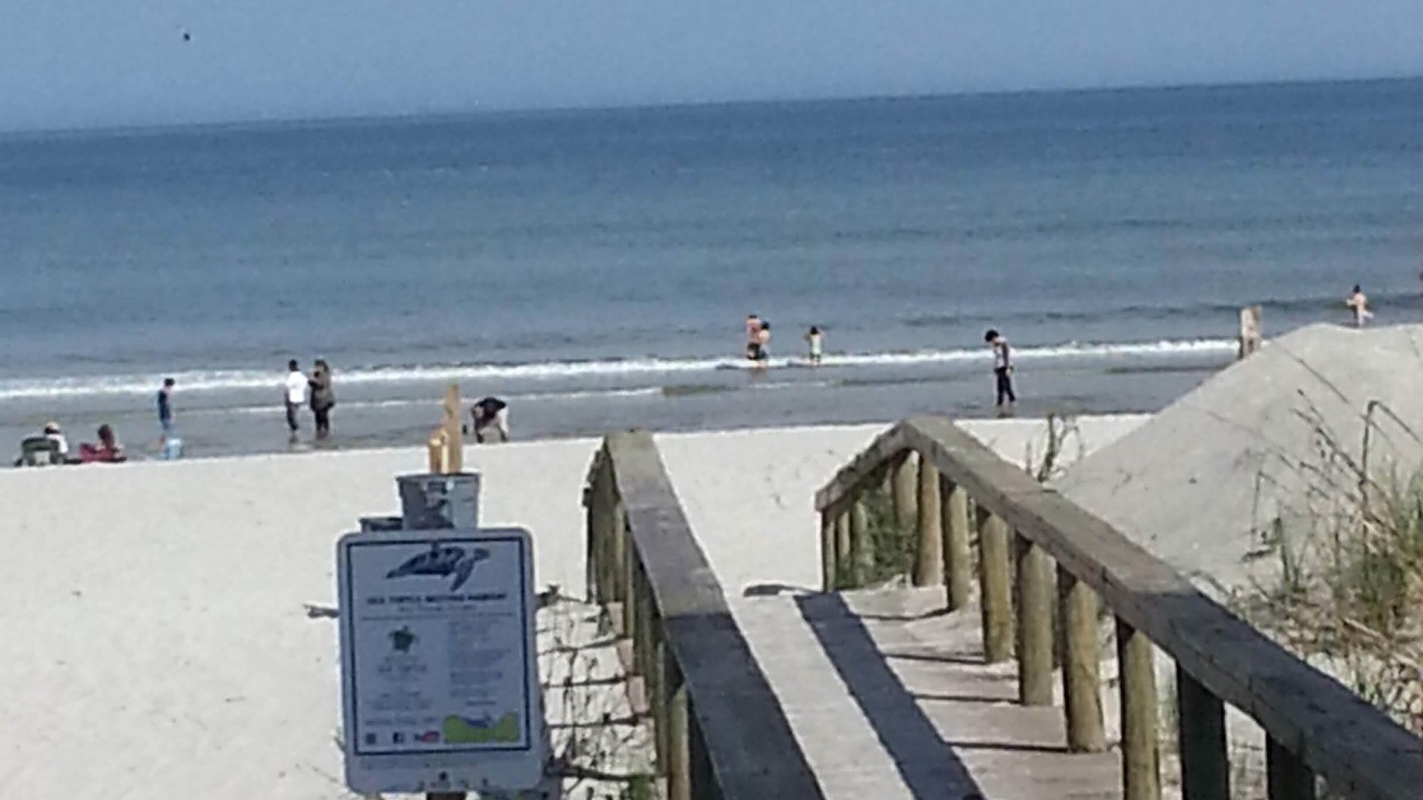 Photo of Others in Jacksonville Beach