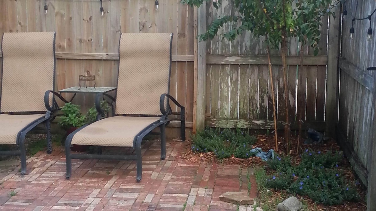 Photo of Others in Jacksonville Beach