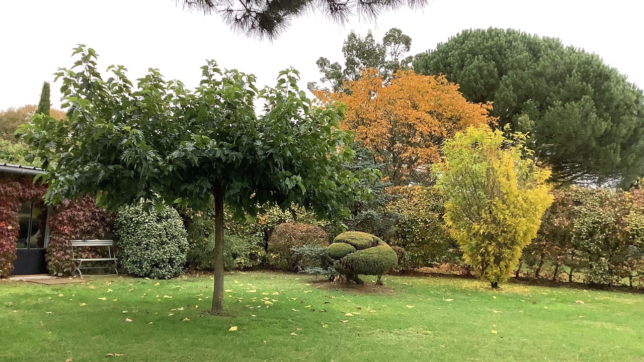 Photo of Outdoor in Lorris