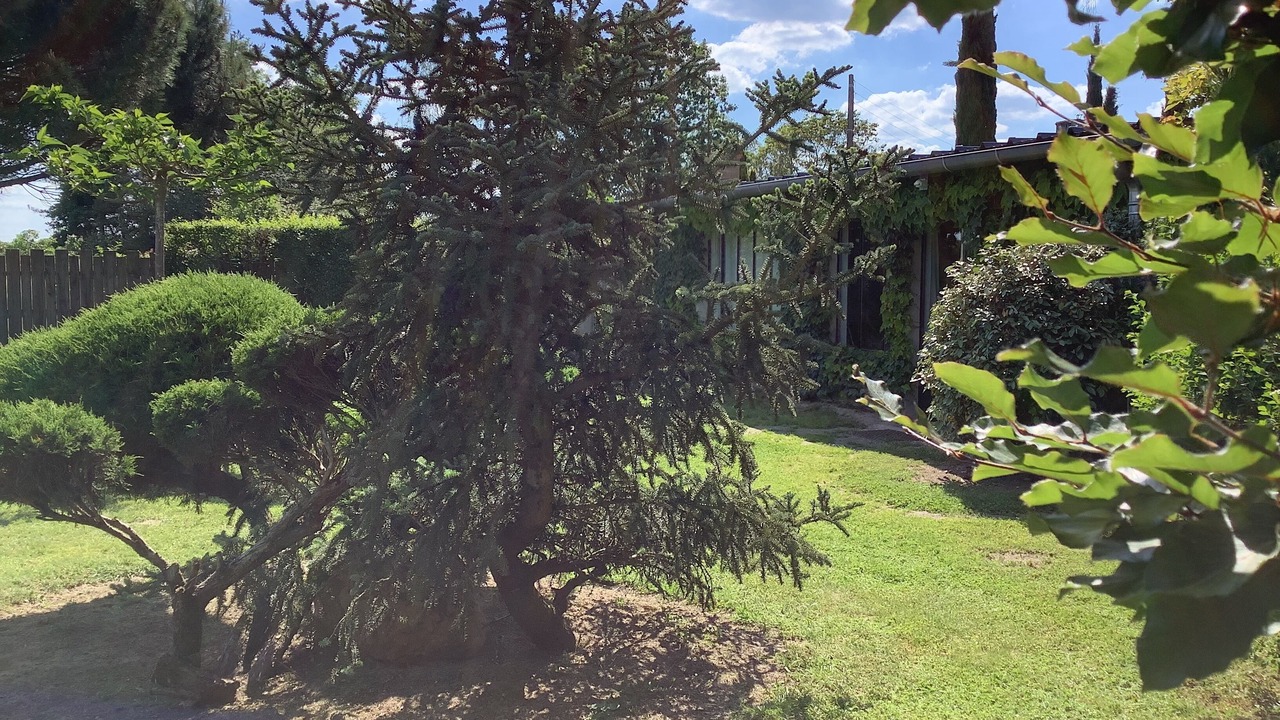 Photo of Outdoor in Lorris