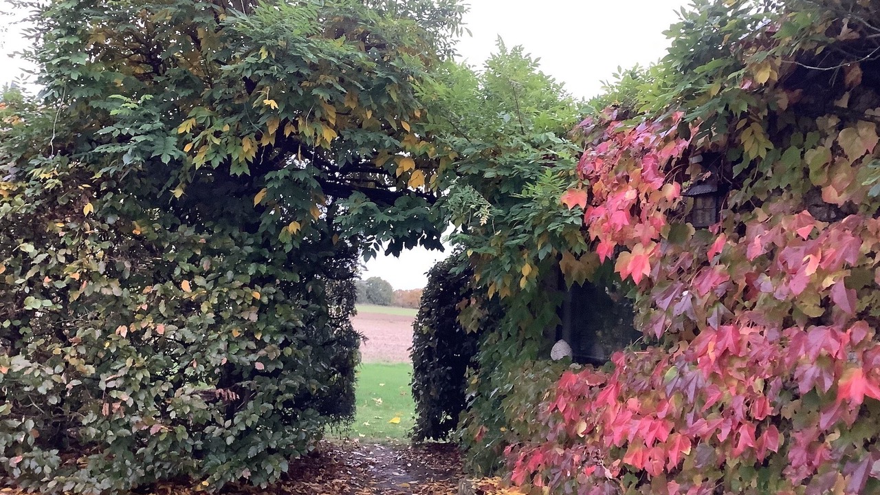 Photo of Outdoor in Lorris