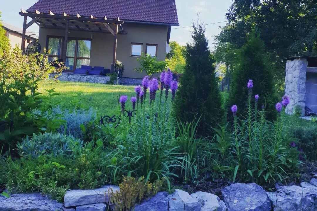 Photo of Outdoor in Grabovac