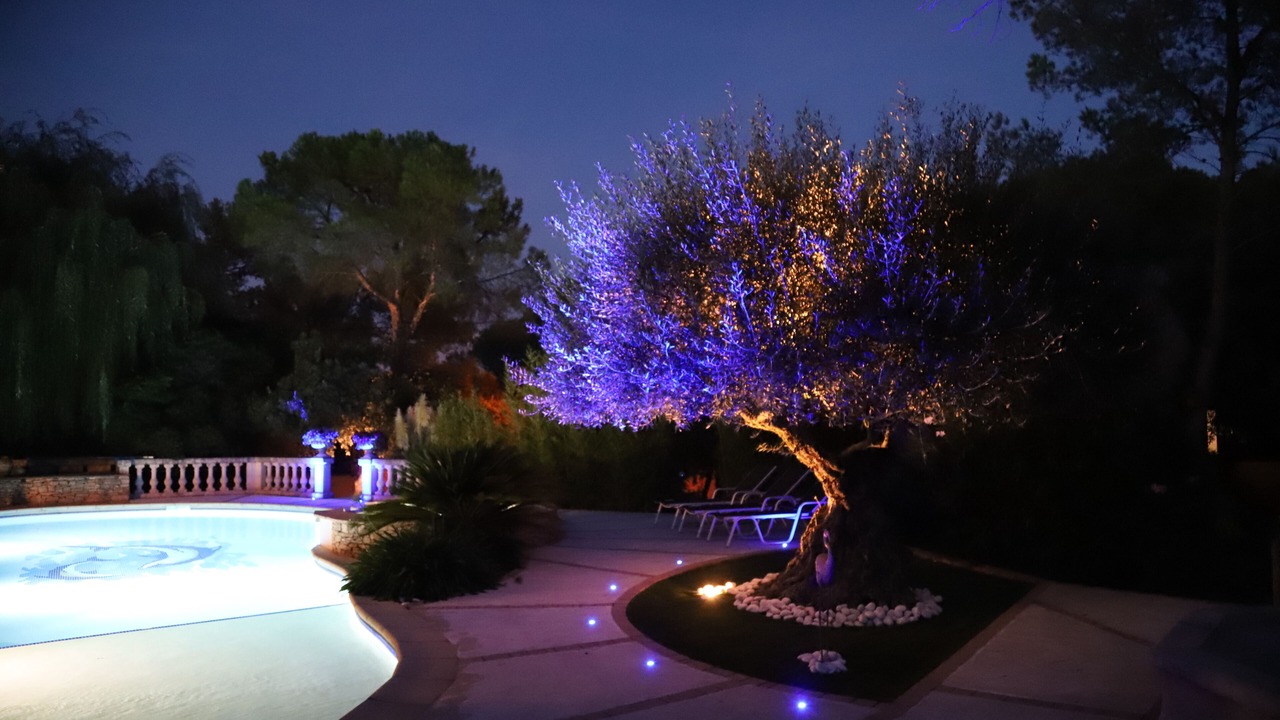 Photo of Outdoor in Langlade