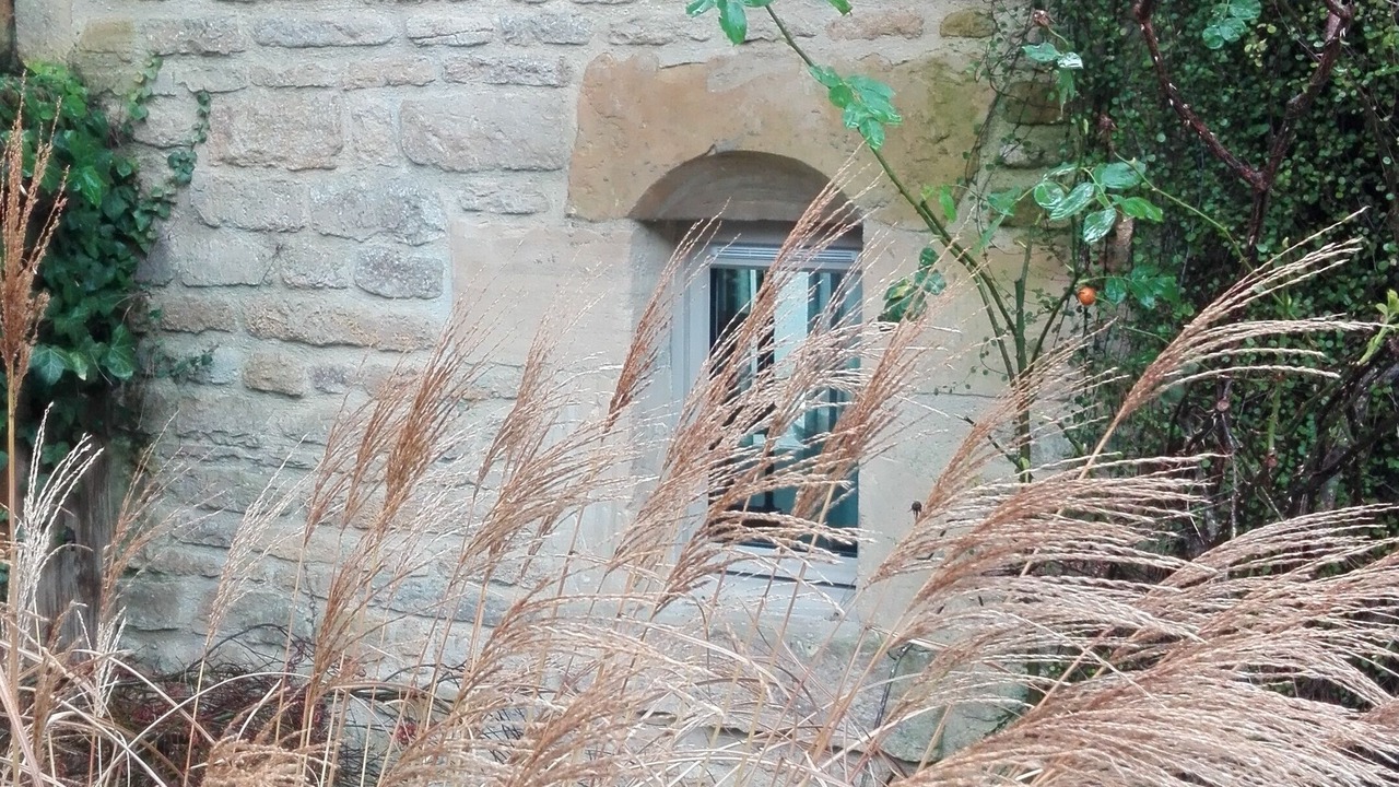 Photo of Outdoor in Reviers