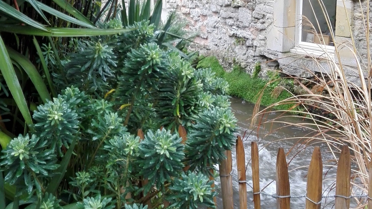 Photo of Outdoor in Reviers