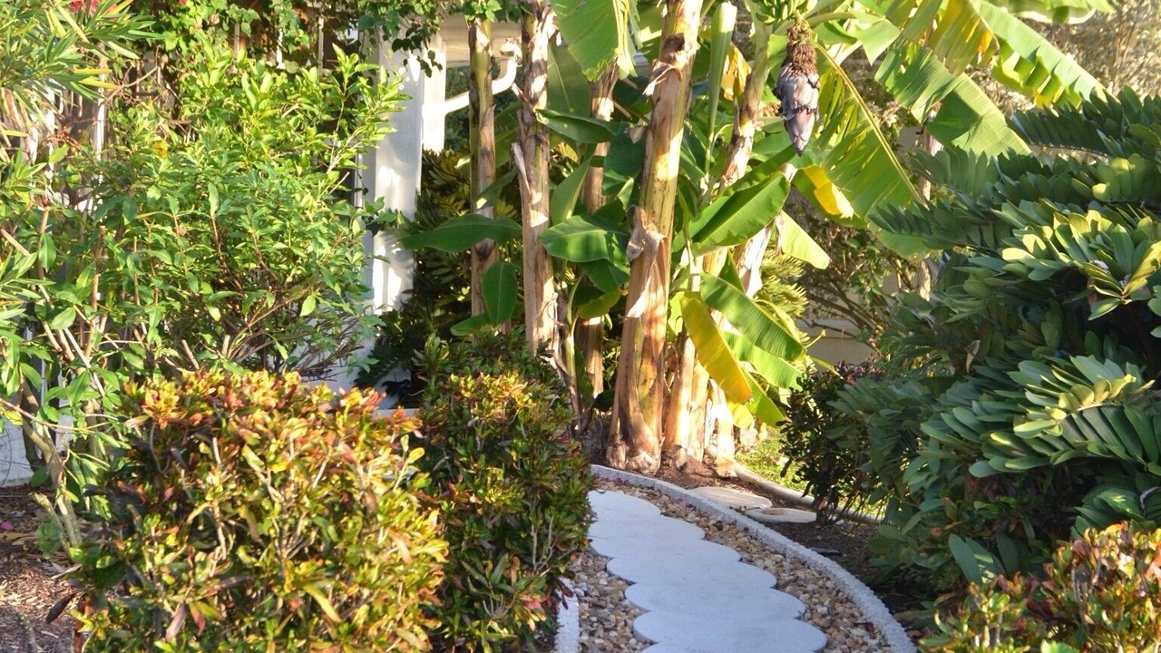 Photo of Others in Punta Gorda
